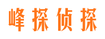 巴里坤市侦探公司